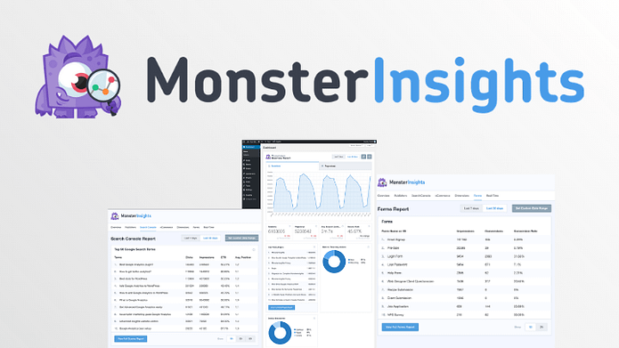 MonsterInsights Google Analytics Plugin