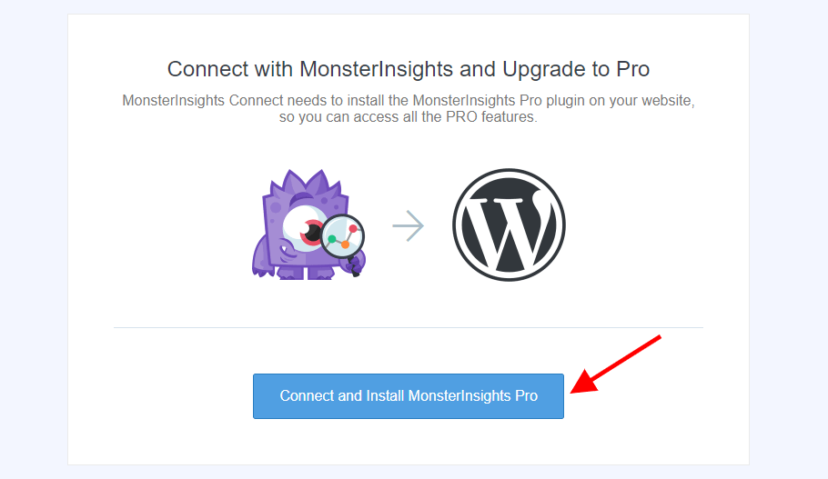 Connect and Install MonsterInsights Pro